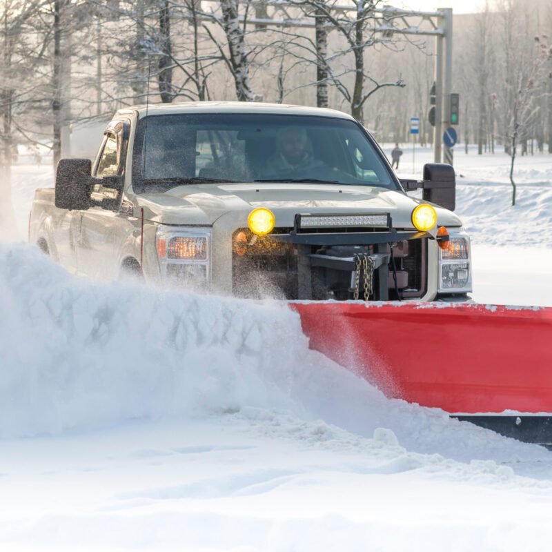 AdobeStock_106296662-scaled